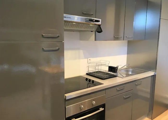 公寓 Renove Pres Du Centre Et De La Avec Parking Et Mezzanine - Fr-1-4-594 圣让－德吕兹