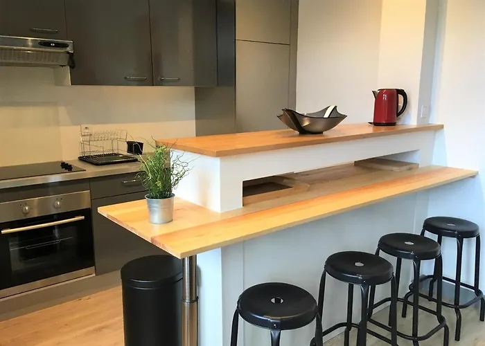 Renove Pres Du Centre Et De La Avec Parking Et Mezzanine - Fr-1-4-594 公寓 *